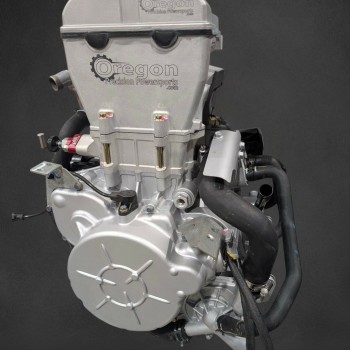 2011-2012 Polaris RZR 900 Engine